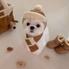韓国ブランド papier 激カワ　帽子+マフラーセット　冬限定のサムネイル