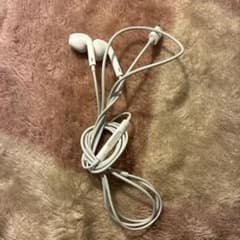Apple 純正 有線イヤホン Lightning端子 動作確認済のサムネイル