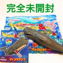 新品 完全未開封》WHALES＆co. くじら＆co. マッコウクジラ