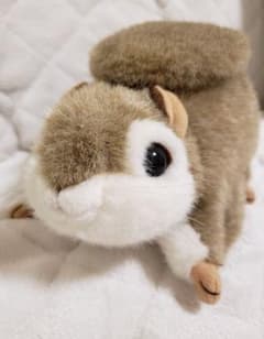 モモンガぬいぐるみのサムネイル