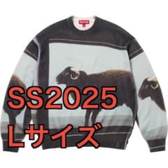 m64785690812_1.jpg?1740120944