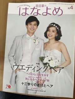 百日草のはなよめのサムネイル
