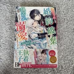 悪役令嬢として婚約破棄されたところ、執着心強めな第2王子が溺愛してきました。のサムネイル
