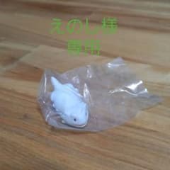 えのし様専用　はちゅこっと３のサムネイル