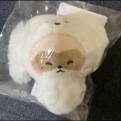 ZB1 zeroni ぬいぐるみ マグネットフォトホルダー ハニニ ジャンハオ