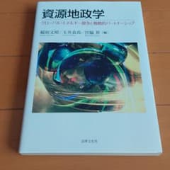 資源地政学 グローバル・エネルギー競争と戦略的パートナーシップのサムネイル