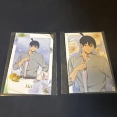 早川アキ トレーディングカード 箔押し レア - メルカリ