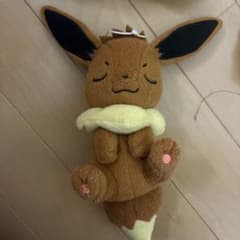 포켓몬 인형 세트 3장