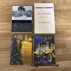 小説まとめ売り　海外文学のサムネイル