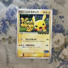 ポケパークのピカチュウ PROMO PCG-Pプロモカード 043/PCG-P - メルカリ