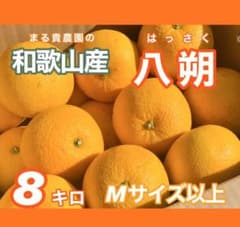 和歌山　八朔　1のサムネイル