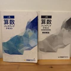 早稲田アカデミー 小6 算数 バックアップテキスト 解答解説付 - メルカリ