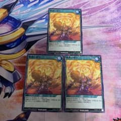 蒼救の祈り ノーマルパラレルレア3枚 ラッシュデュエル 遊戯王 - メルカリ