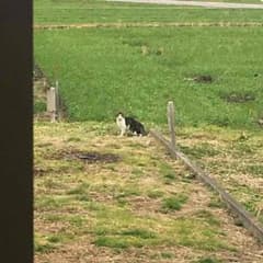 ひな様専用のサムネイル