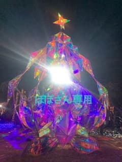 ぽぽさん専用　ビタミンCのサムネイル