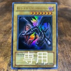 遊戯王 英語版 レッドアイズブラックドラゴンのサムネイル