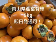 農薬不使用　富有柿　9kgのサムネイル