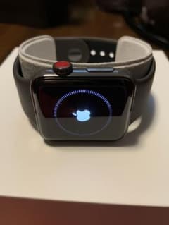 Apple Watch Edition Series 3 42mmのサムネイル