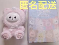未使用】SKZOO Secret Keyring Toy Ver リービット - メルカリ