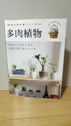 多肉植物 かわいいアレンジと元気に育てるノウハウのサムネイル