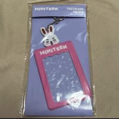 新品 エスクプス セブチ MINITEEN トレカケース フォトカードホルダー