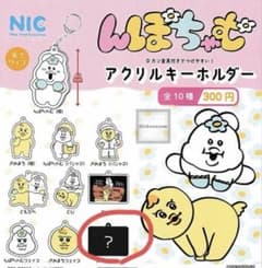 んぽちゃむ アクリルキーホルダー シークレットのサムネイル