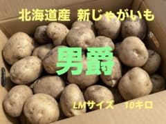 北海道産　新じゃがいも　男爵　10キロのサムネイル