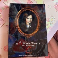♥Acid black cherry L ♥DVDのサムネイル