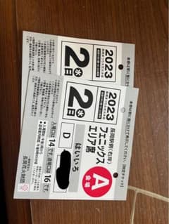 長岡花火　8月2日チケットのサムネイル
