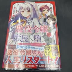 悪役令嬢、庶民に堕ちる 1巻のサムネイル