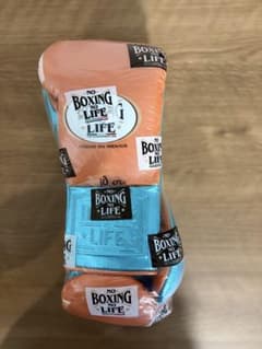 NO BOXING LIFE ボクシンググローブ 10ozのサムネイル
