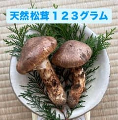 【天然 松茸 マツタケ】123g 送料込み！のサムネイル