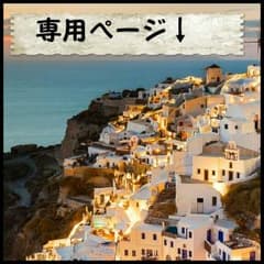 kz様専用☆のサムネイル