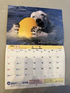 とべ動物園 しろくまピース 壁掛けカレンダー 2020年 2023年 2冊セット とべ動物園 2024年カレンダー 壁掛けカレンダー ZOO しろくまピース 辰
