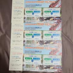 ナガシマスパーランド パスポート 券のサムネイル