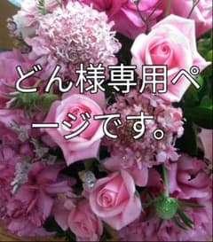 どん様 専用ページです。のサムネイル