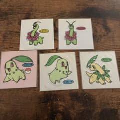 チコリータ進化系