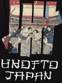 (専用) UNDEFEATED アンディフィーテッド tシャツのサムネイル