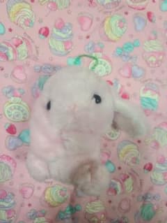 ぽてうさろっぴ―18のサムネイル