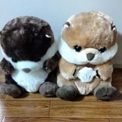 うきうきらっこのサムネイル