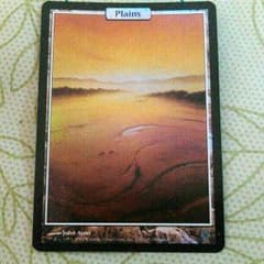 MTG　アンヒンジド平地foilのサムネイル
