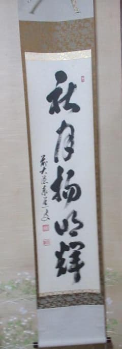 掛軸 大徳寺足立泰道直筆 秋月揚明輝 共箱 - メルカリ