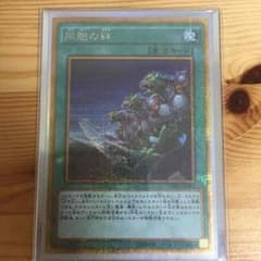 遊戯王 同胞の絆のサムネイル