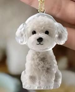 けだまだま　犬用　マルチーズ、トイプードル、ビジョンフリーゼのサムネイル