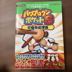 パワプロクンポケット6 究極育成理論 攻略本のサムネイル