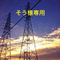 そう様専用です。のサムネイル