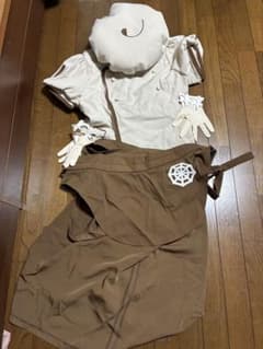 ポケモンSVカエデコスプレ衣装・ウィッグセット - メルカリ