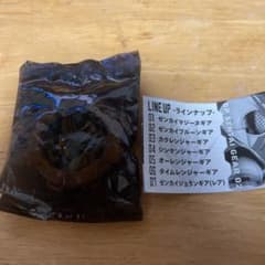 ゼンカイギア02  24番のサムネイル