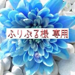 ＊ふりぷる様＊専用のサムネイル