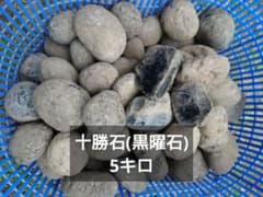 5キロ 十勝石 天然オブシディアン 黒曜石 サイズバラバラ詰め合わせ 5キロ 十勝石 天然オブシディアン 黒曜石 サイズバラバラ詰め合わせ